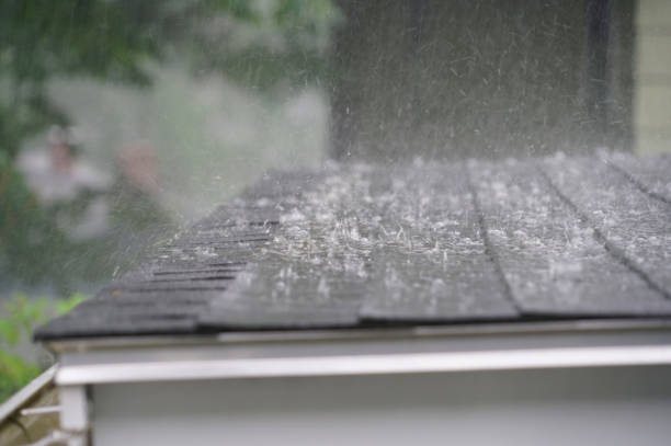 Lochmoor Waterway Estates, FL Roofing Services Company